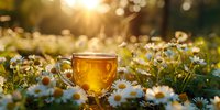 Glass cup of herbal tea among blooming chamomile flowers in meadow at sunset, golden sunlight streaming through aromatic drink, natural wellness concept.