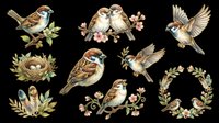 Watercolor sparrow clipart set isolated on transparent background, featuring birds on branches, nest, feathers, and floral wreaths, ready for stickers, cards, and print on demand.