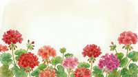Watercolor geranium flowers border with red, pink, and coral blooms on a light background, perfect for greeting cards and invitations.