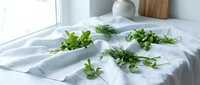 Fresh green herbs arranged on a white linen cloth near a bright window, featuring dill, mint, parsley, and microgreens for culinary use.