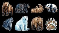 Isolated bear species collection featuring brown bears, black bears, pandas, and polar bears with paw print on transparent background, ready for t-shirt design, clipart, stickers, and print-on-demand products.