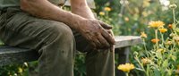 Mature man with fair skin sitting on wooden bench in garden surrounded by yellow flowers, relaxing outdoors in natural setting.