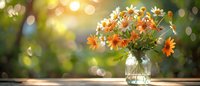 Beautiful orange and white daisies in glass mason jar on wooden surface against blurred bokeh garden background, perfect for spring or summer greeting cards and nature designs.