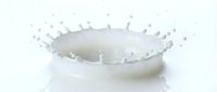 White milk splash crown with droplets on clean background for dairy product advertising and beverage marketing campaigns.