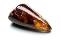 Polished amber stone with natural inclusions and cracks displaying rich brown and honey colors against white background, mineral specimen photography.