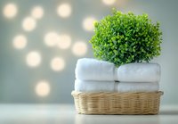 Fresh green plant on folded white towels in wicker basket against soft bokeh background, creating serene spa and wellness atmosphere.