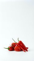 Fresh red chili peppers and bell peppers isolated on white background. Vibrant produce for culinary, food, cooking, and recipe design projects.