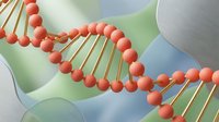 Red DNA double helix structure with golden connectors on soft gradient background, suitable for scientific research, medical education, biotechnology presentations, and genetic engineering illustrations.