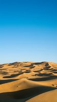 Vast desert landscape with golden sand dunes casting dramatic shadows under clear blue sky, suitable for travel, nature, and background design projects.