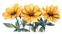 Yellow daisies with green leaves and stems in watercolor style on white background, floral arrangement for greeting cards and decorative prints.