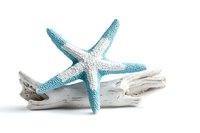 Blue and white decorative starfish on weathered driftwood against white background, isolated marine decor element for coastal design projects.