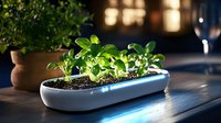 Young basil seedlings growing in modern white planter on wooden table with natural sunlight streaming through window, creating cozy home garden atmosphere.