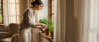 Woman in casual beige clothing tending to potted green plant by bright window with sheer curtains in modern home interior, lifestyle and plant care.
