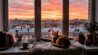 Ginger cat resting on windowsill with panoramic sunset cityscape view through large windows, urban rooftops and golden sky, cozy interior scene with potted plants and warm lighting.