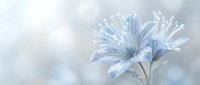 Delicate blue flower with frost-covered petals and water droplets, isolated on soft blurred background, suitable for nature, wellness, and seasonal design projects.