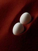 Two white eggs casting dramatic shadows on textured rust-colored surface. Minimalist food photography with warm earth tones and artistic lighting composition.