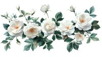 Delicate white roses with green leaves arranged in horizontal composition, soft watercolor style floral border design for wedding stationery and romantic decor.