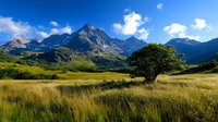 Majestic mountain peak rising above golden grassland meadow with solitary tree under blue sky and white clouds.