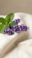 Fresh lavender sprigs with mint leaves on soft linen fabric for natural aromatherapy spa wellness relaxation herbal medicine organic skincare products.