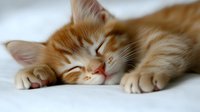 Peaceful ginger kitten sleeping on white surface, showing relaxed paws and gentle facial expression, creating serene and heartwarming mood for pet-related designs.