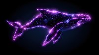 Glowing purple whale constellation with sparkling stars and cosmic dust against dark night sky background, creating magical celestial animal silhouette.