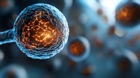 Glowing cell structure with orange energy core against dark background shows microscopic biological process in dramatic scientific visualization.