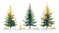 Watercolor evergreen trees with golden autumn foliage isolated on white background for seasonal design projects and nature-themed artwork.