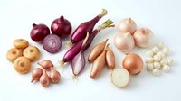 Assorted fresh onions and eggplants arranged on white background, including red, yellow, and white varieties with whole and sliced pieces for cooking and culinary design.