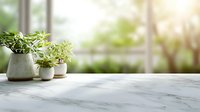 Fresh green plants in ceramic pots on marble countertop with sunlight streaming through window, creating bright natural atmosphere.