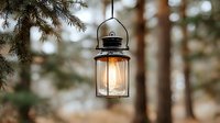 Vintage camping lantern hanging from pine tree branch in forest setting with warm glowing light creating cozy outdoor atmosphere for adventure and nature themes.