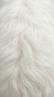 Soft white fluffy fur texture background with natural hair pattern for cozy winter design projects and luxury fashion concepts.