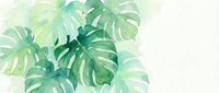Watercolor monstera tropical leaves in soft green tones on a light background, perfect for banners, cards, and nature-themed decor projects.