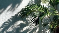 Tropical palm leaves casting dramatic shadows on white wall creating natural light and shadow patterns for interior design and botanical decor concepts.