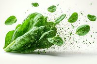Fresh green spinach leaves exploding with water drops and powder particles on white background, dynamic food photography for healthy eating concept.