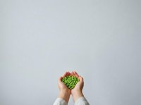 Hands holding fresh green peas in pod against white background, isolated for healthy eating, nutrition, organic food, and cooking design projects.