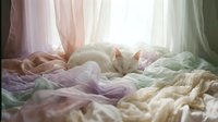 White cat sleeping peacefully on soft pastel bedding in sunlit bedroom with flowing curtains creating cozy morning atmosphere for home decor and lifestyle content.