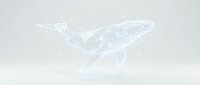 Ethereal angel wings made of sparkling light particles and stardust on soft gray background for spiritual and celestial design projects.