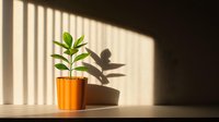 Young green plant in orange pot casting shadow on white wall with window light creating striped pattern, minimalist home decor composition for wellness concepts.