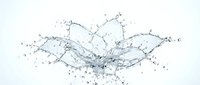 Dynamic water splash forming elegant flower petals with droplets frozen in motion against clean white background for refreshing design concepts.