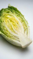 Fresh napa cabbage half cut showing crisp layers and texture isolated on white background for healthy cooking and culinary design projects.