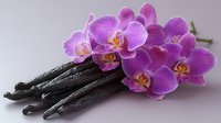 Aromatic vanilla pods with fresh pink orchid flowers on light background, natural ingredients for spa, aromatherapy and culinary concept.