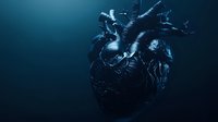 Anatomically accurate dark human heart on deep blue background with dramatic lighting and shadows. Medical concept showing cardiovascular system details.