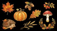Autumn harvest collection featuring isolated fall elements including maple leaf, pumpkin, acorns, rowan berries, wheat, hedgehog, oak leaf and red mushroom on transparent background. Ready for t-shirts, clipart, stickers and print-on-demand designs.