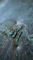 Weathered copper surface with green patina oxidation and scratched metal texture showing age and corrosion effects for industrial design backgrounds.