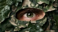 Close-up of intense green eye peering through camouflage military pattern, depicting surveillance, stealth, and combat observation in natural environment.
