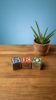SEO wooden alphabet blocks spelling search engine optimization on desk with succulent plant for digital marketing and business concepts.