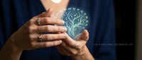 Person with medium skin tone holding glowing tree of life symbol, representing growth, wellness, and interconnected systems for healthcare and spiritual concepts.