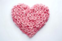 Pink roses arranged in heart shape on white background, romantic floral composition for wedding, valentines day and anniversary celebrations.