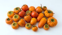Ripe orange medlar fruits with green sepals arranged on white background, ready for culinary use, food photography, or recipe illustration.