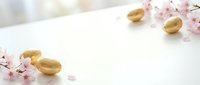 Wedding rings and cherry blossoms on white background with copy space for romantic celebration and marriage ceremony invitations.